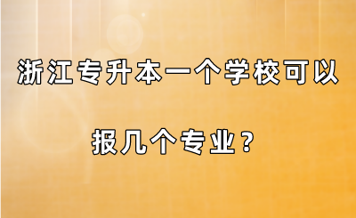 浙江专升本一个学校可以报几个专业？.png