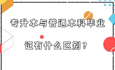 专升本与普通本科毕业证有什么区别？.jpeg