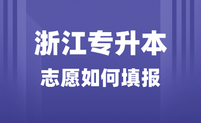 2025年浙江专升本志愿如何填报？能报考哪些院校？